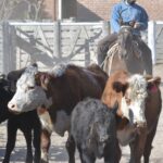 WhatsApp Image 2021-08-26 at 12.41.41 (2)