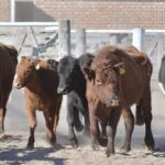 WhatsApp Image 2021-08-26 at 12.41.42 (2)