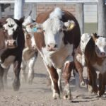 WhatsApp Image 2021-08-26 at 12.41.43 (1)