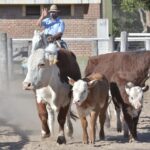 WhatsApp Image 2021-08-26 at 12.41.43