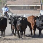 WhatsApp Image 2021-08-26 at 12.41.43 (2)