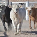 WhatsApp Image 2021-08-26 at 12.41.44 (1)