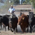 WhatsApp Image 2021-08-26 at 12.41.44