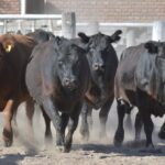 WhatsApp Image 2021-08-26 at 12.41.44 (2)