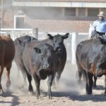 WhatsApp Image 2021-08-26 at 12.41.45