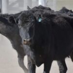 WhatsApp Image 2021-08-26 at 12.41.46 (1)