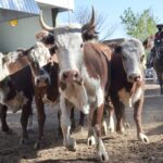 WhatsApp Image 2021-08-26 at 12.41.51 (1)