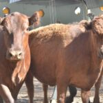 WhatsApp Image 2021-08-26 at 12.41.51 (2)