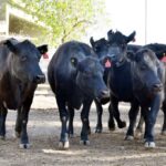 WhatsApp Image 2021-08-26 at 12.41.52 (2)