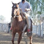 WhatsApp Image 2021-08-26 at 12.41.53