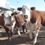 WhatsApp Image 2021-08-26 at 12.41.54