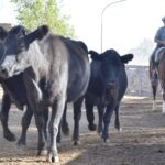 WhatsApp Image 2021-08-26 at 12.41.54 (2)