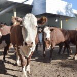 WhatsApp Image 2021-08-26 at 12.41.55 (2)