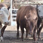 WhatsApp Image 2021-08-26 at 12.41.56