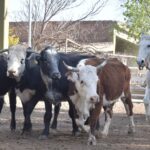 WhatsApp Image 2021-08-26 at 12.41.57 (2)