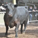 WhatsApp Image 2021-08-26 at 12.41.58 (1)