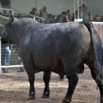 WhatsApp Image 2021-08-26 at 12.41.58 (2)