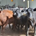 WhatsApp Image 2021-08-26 at 12.42.00