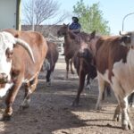 WhatsApp Image 2021-08-26 at 12.42.01