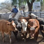 WhatsApp Image 2021-08-26 at 12.42.01 (2)