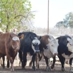 WhatsApp Image 2021-08-26 at 12.42.02 (1)