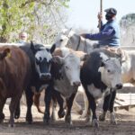 WhatsApp Image 2021-08-26 at 12.42.02