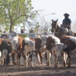 WhatsApp Image 2021-08-26 at 12.42.29 (1)