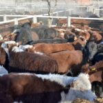 WhatsApp Image 2021-08-26 at 12.42.29