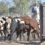 WhatsApp Image 2021-08-26 at 12.42.30 (1)