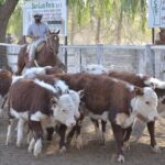 WhatsApp Image 2021-08-26 at 12.42.30