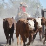 WhatsApp Image 2021-08-26 at 12.42.30 (2)