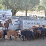 WhatsApp Image 2021-08-26 at 12.42.31 (1)