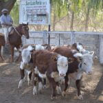 WhatsApp Image 2021-08-26 at 12.42.31