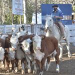 WhatsApp Image 2021-08-26 at 12.42.31 (2)