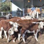 WhatsApp Image 2021-08-26 at 12.42.32 (1)