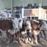 WhatsApp Image 2021-08-26 at 12.42.32