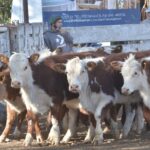 WhatsApp Image 2021-08-26 at 12.42.32 (2)