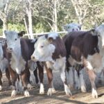 WhatsApp Image 2021-08-26 at 12.42.32 (3)