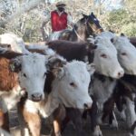 WhatsApp Image 2021-08-26 at 12.42.33