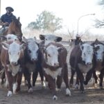 WhatsApp Image 2021-08-26 at 12.42.33 (2)