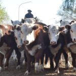 WhatsApp Image 2021-08-26 at 12.42.34 (1)