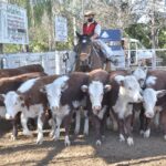 WhatsApp Image 2021-08-26 at 12.42.34