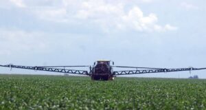 Clorpirifós: el Senasa prohibió su uso como insecticida