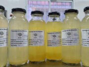 Desarrollan una bebida frutal probiótica a partir de suero lácteo