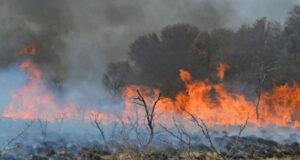 San Luis: la escasez de lluvias en la provincia aumenta el riesgo de incendios forestales
