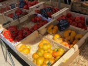 Tomates mejorados, de la huerta a la mesa