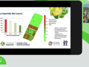 El pastoreo como clave del éxito o fracaso de la integración agrícola-ganadera