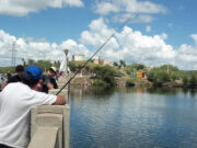 San Luis entra en veda de pesca de pejerrey hasta diciembre