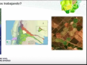 Agricultura generativa: de jarillas y chañares a sistemas de alta producción