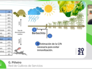 Manejo de Cultivos de Servicios